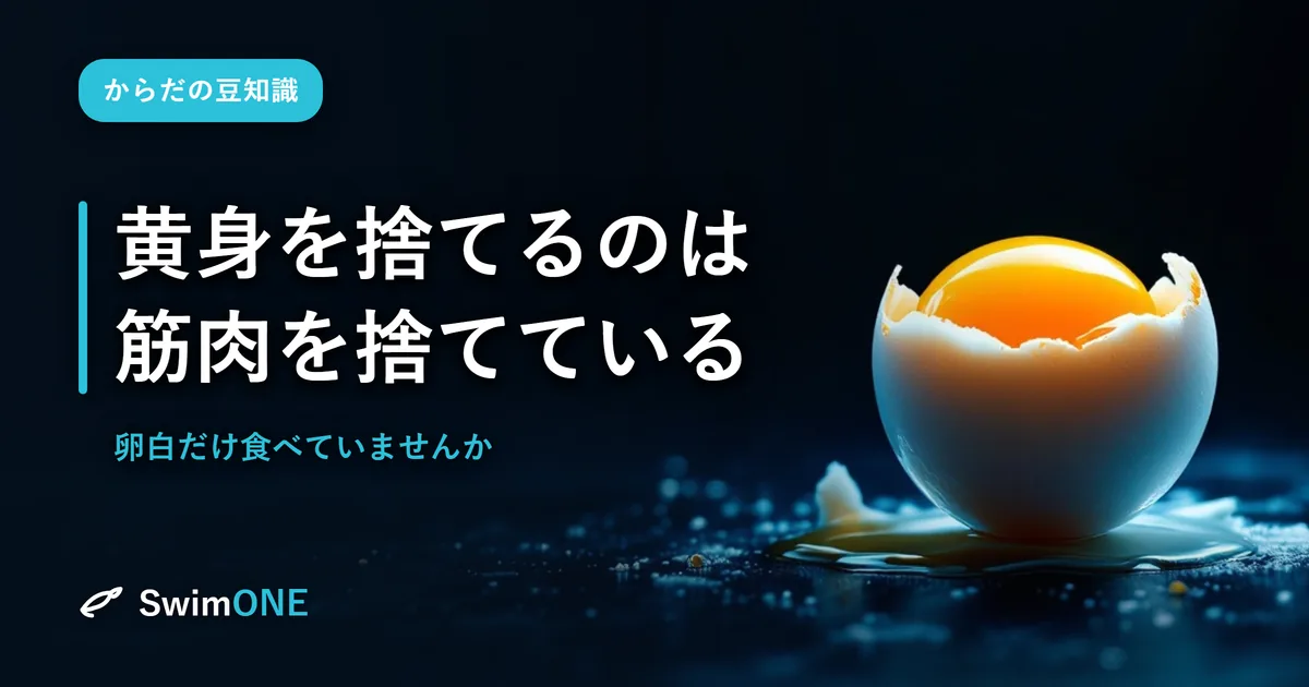 卵白だけ食べていませんか——黄身を捨てるのは、筋肉を捨てている