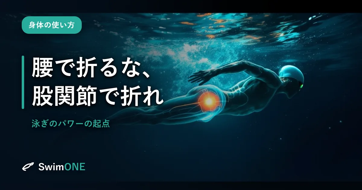 腰で折るな、股関節で折れ——泳ぎのパワーは、この一点から生まれる