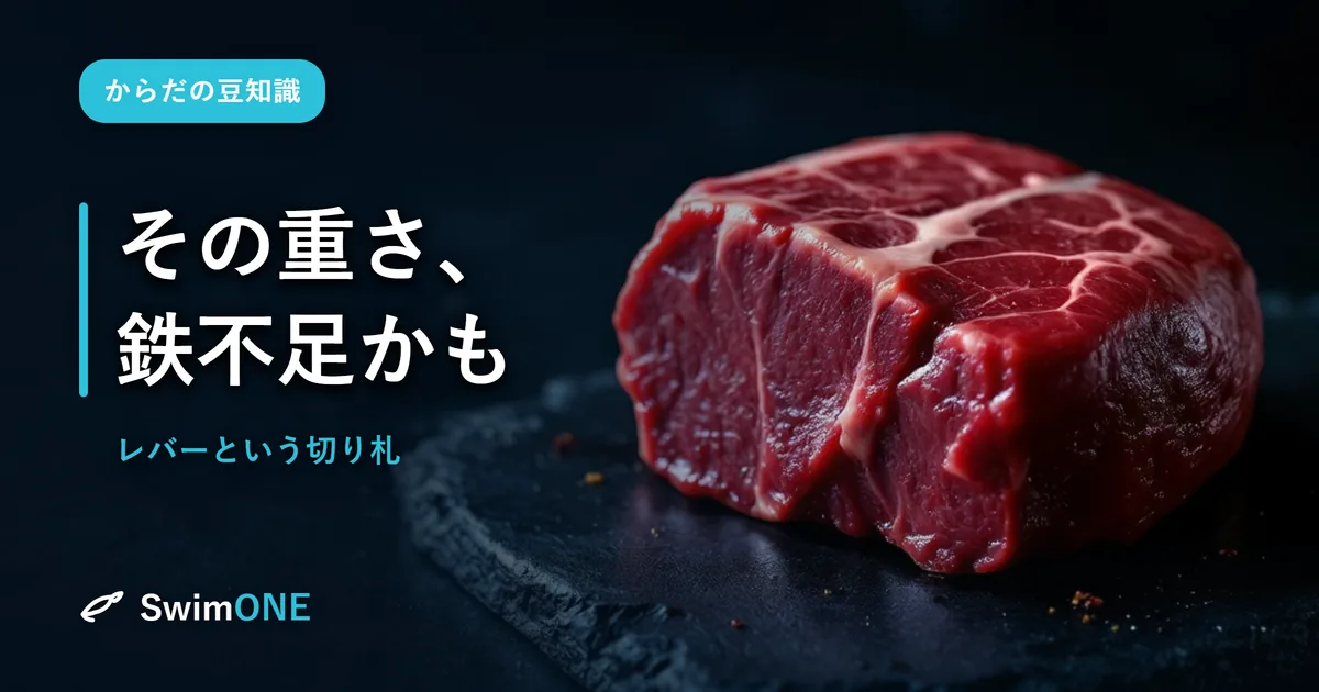 その「なんだか重い」、根性じゃなく鉄不足かもしれません——レバーという切り札